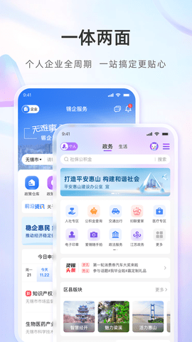 灵锡图1