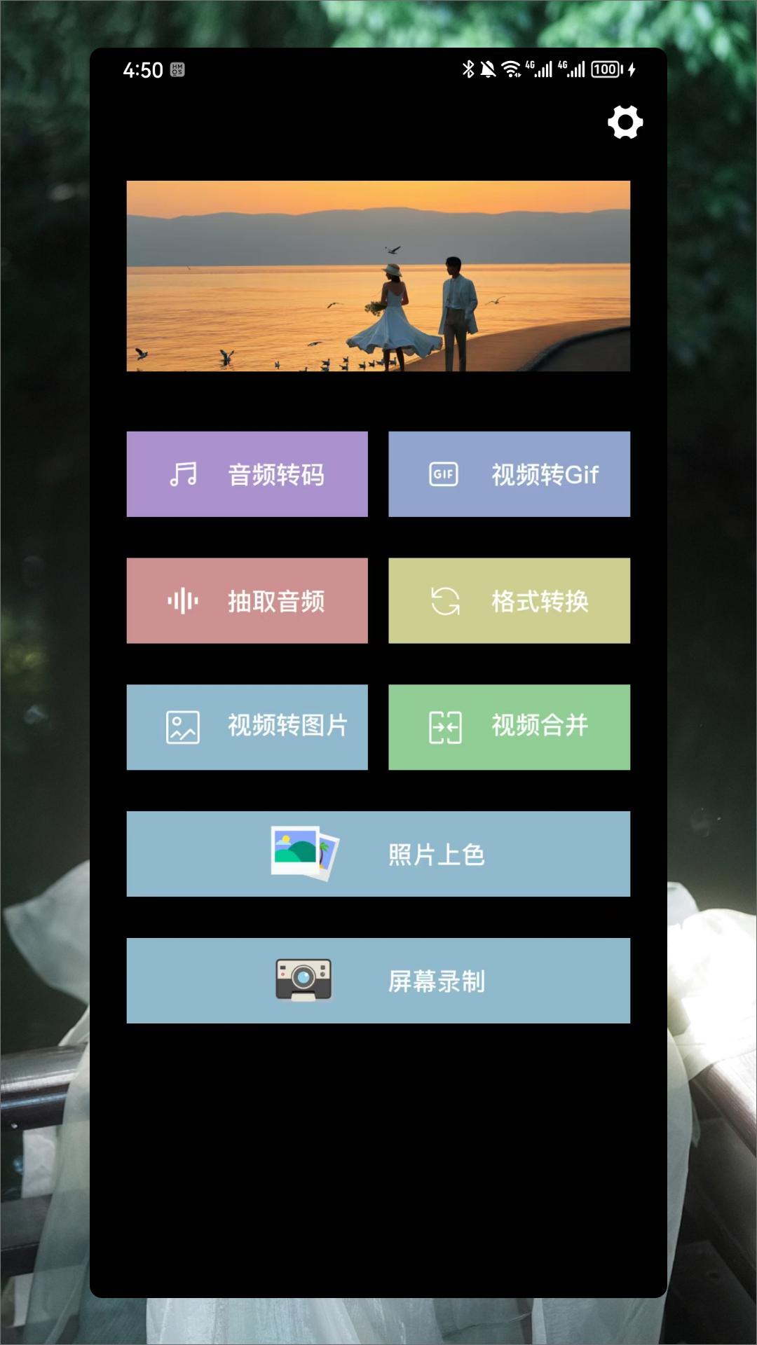 青青草图1